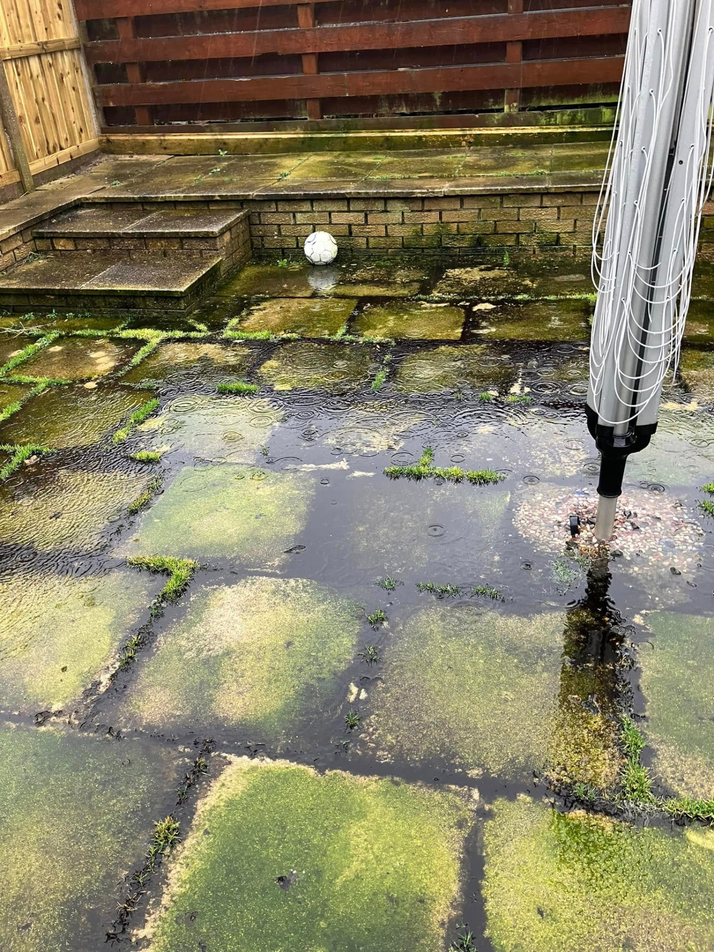 Patio paving slabs with built-up dirt and green staining before pressure cleaning
